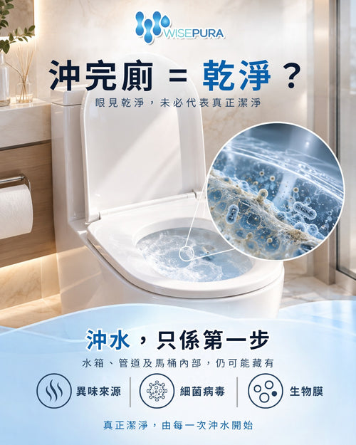 WISEPURA 洁厕凝胶