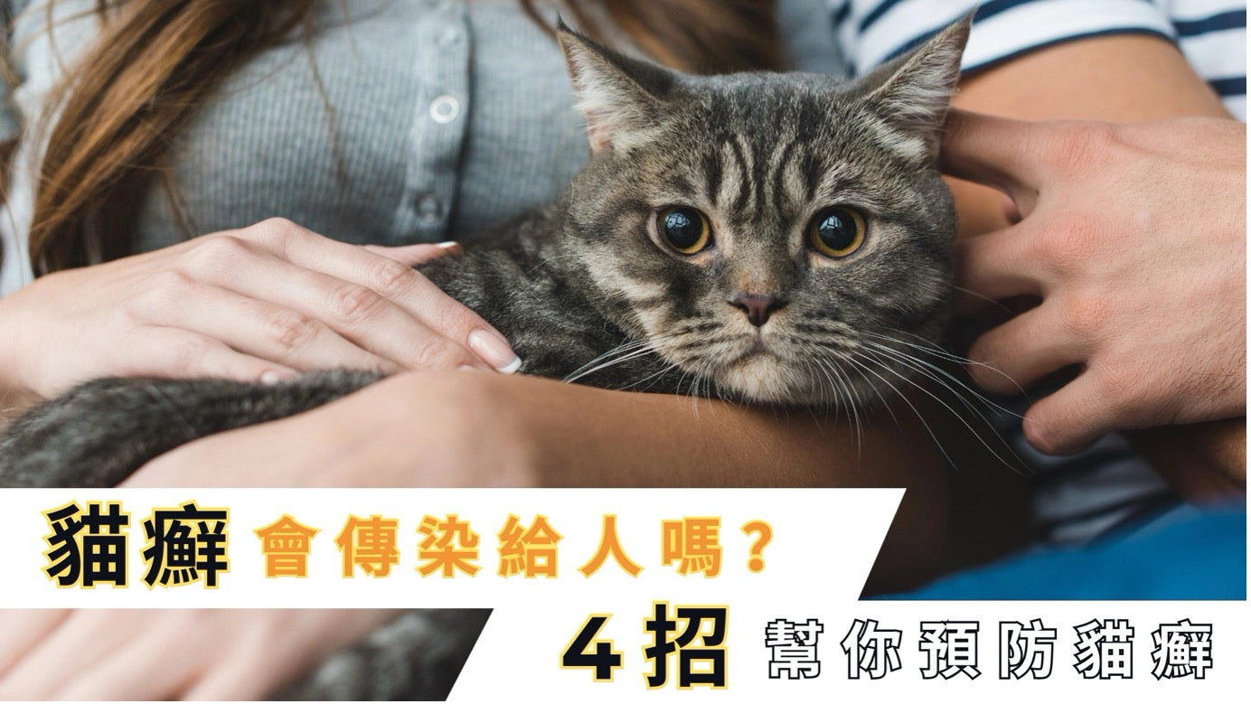 Cat being held by people with a headline about ringworm transmission